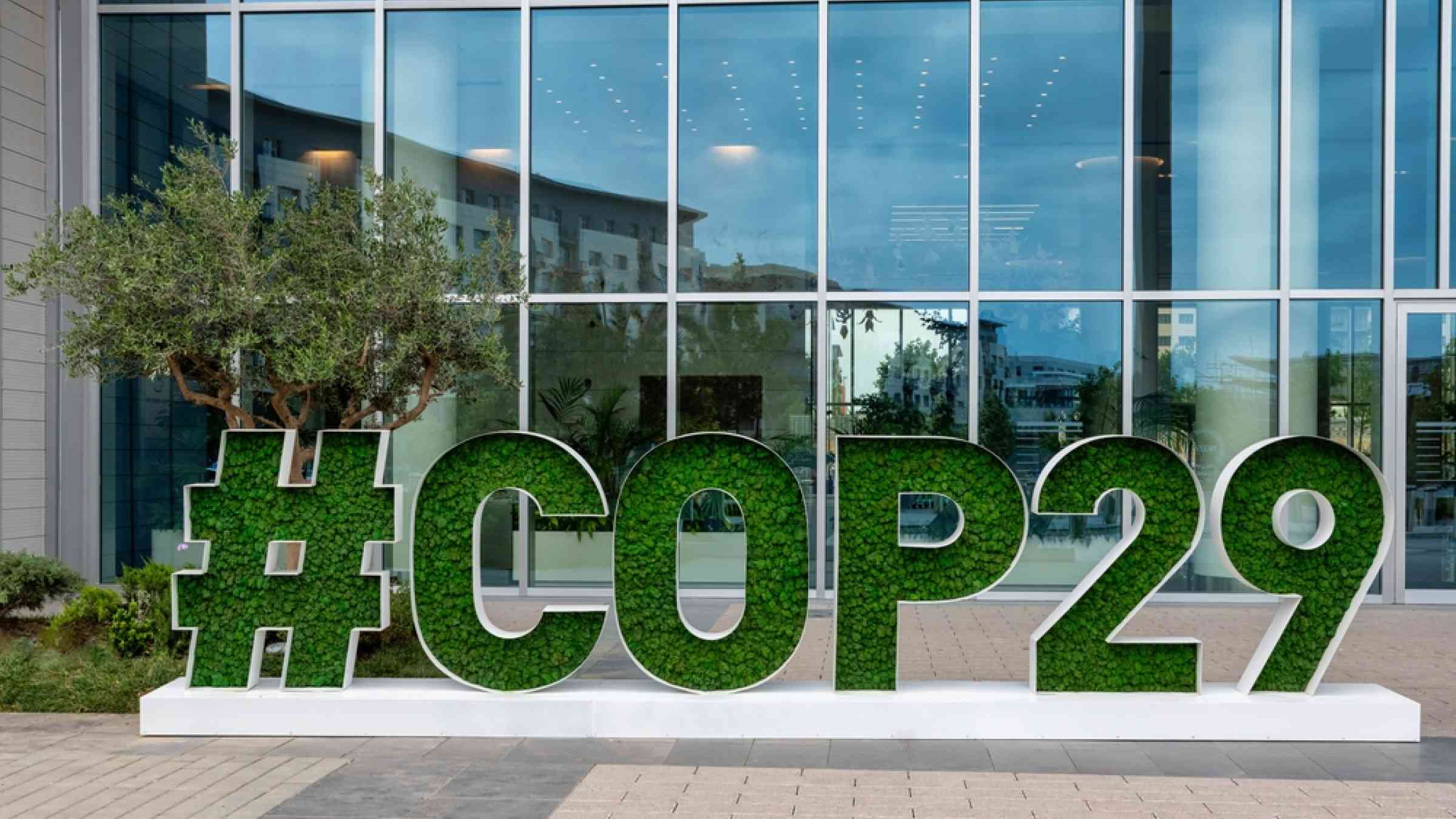 COP29